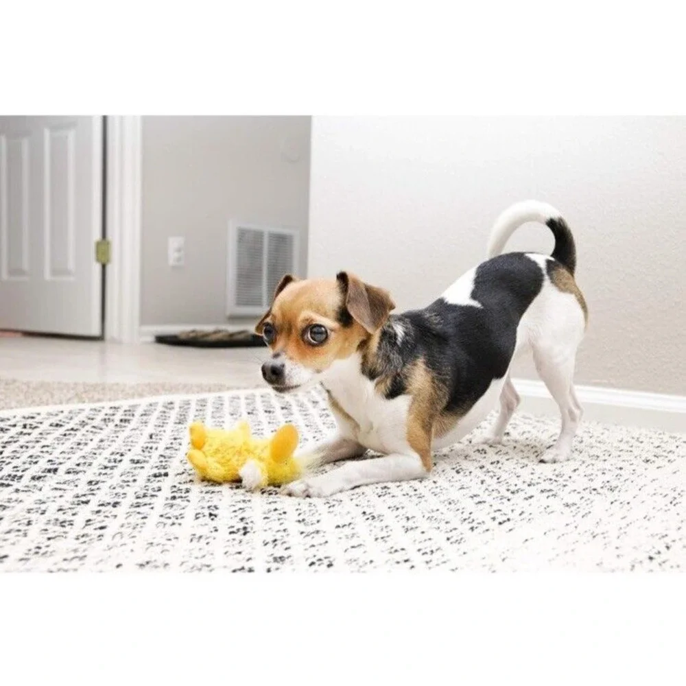 KONG Plush SMALL Low Stuffing Squeak Duck‎ Dog Toy